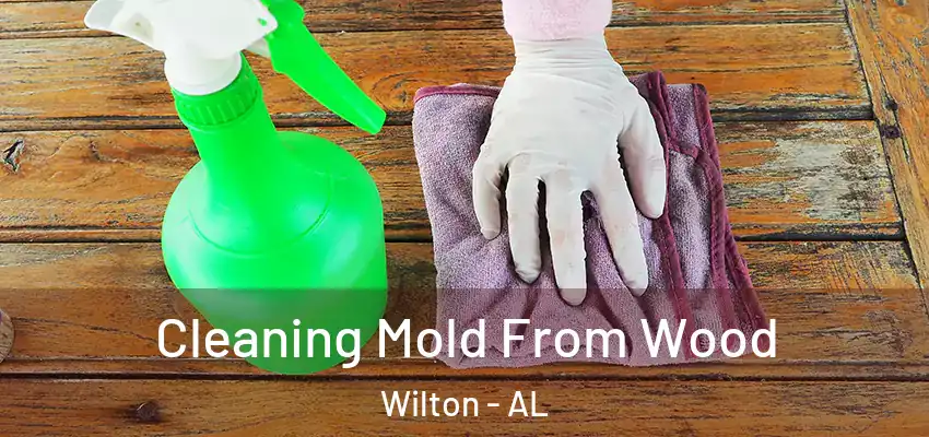 Cleaning Mold From Wood Wilton - AL