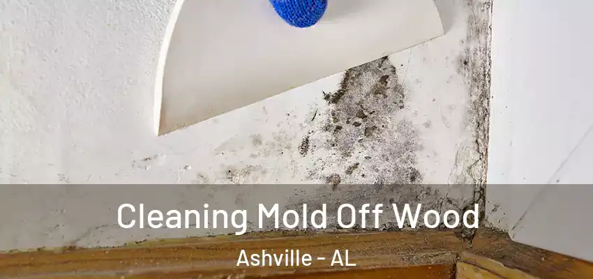  Cleaning Mold Off Wood Ashville - AL