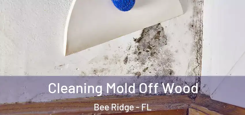  Cleaning Mold Off Wood Bee Ridge - FL