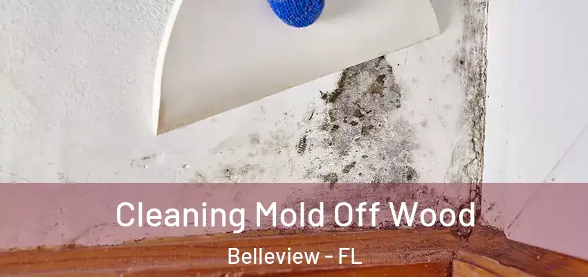  Cleaning Mold Off Wood Belleview - FL