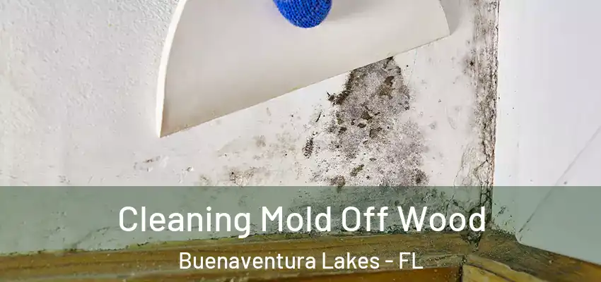 Cleaning Mold Off Wood Buenaventura Lakes - FL