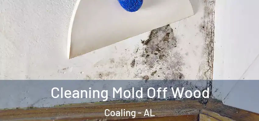  Cleaning Mold Off Wood Coaling - AL