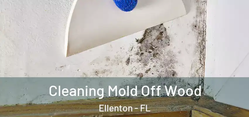 Cleaning Mold Off Wood Ellenton - FL