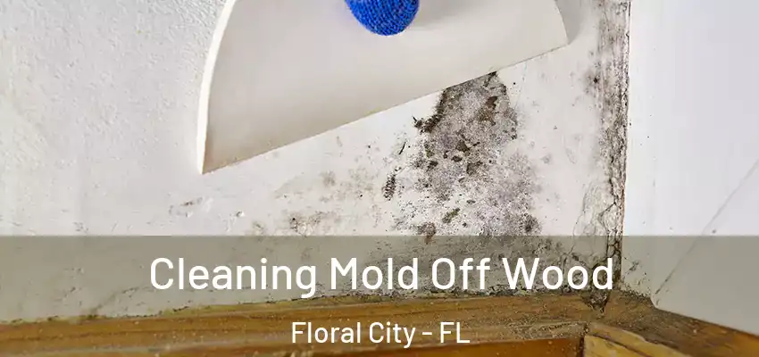 Cleaning Mold Off Wood Floral City - FL