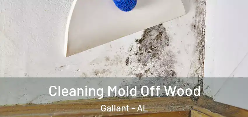 Cleaning Mold Off Wood Gallant - AL
