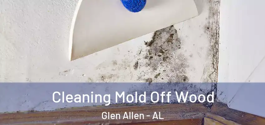Cleaning Mold Off Wood Glen Allen - AL