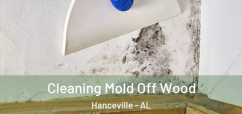 Cleaning Mold Off Wood Hanceville - AL
