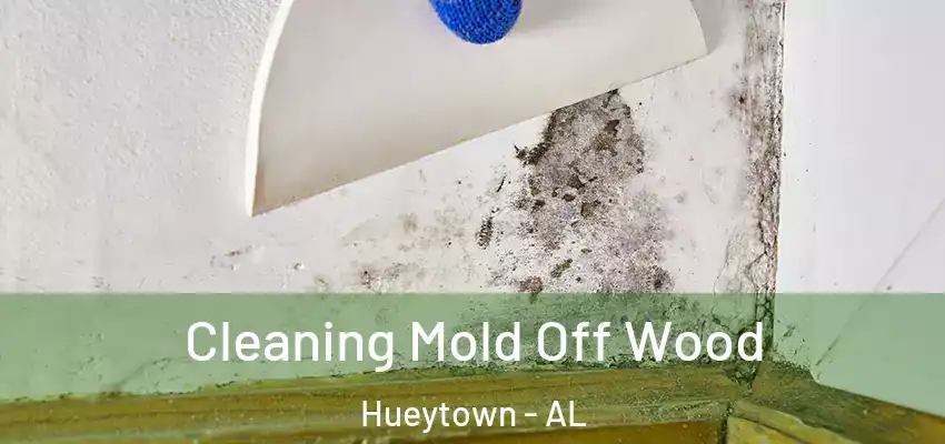 Cleaning Mold Off Wood Hueytown - AL
