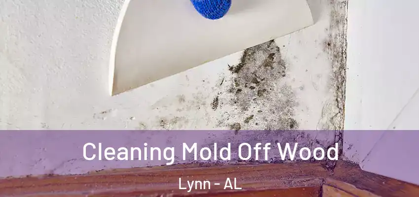 Cleaning Mold Off Wood Lynn - AL
