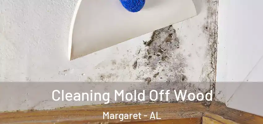  Cleaning Mold Off Wood Margaret - AL