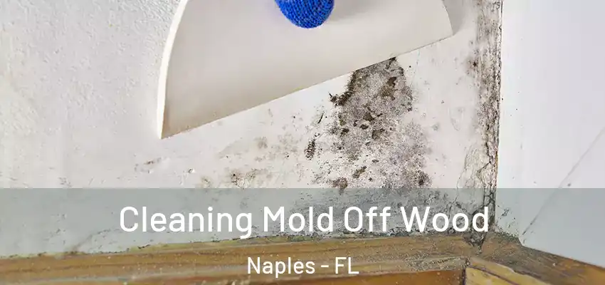 Cleaning Mold Off Wood Naples - FL