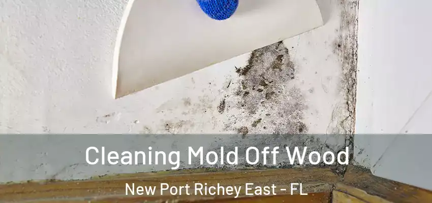 Cleaning Mold Off Wood New Port Richey East - FL