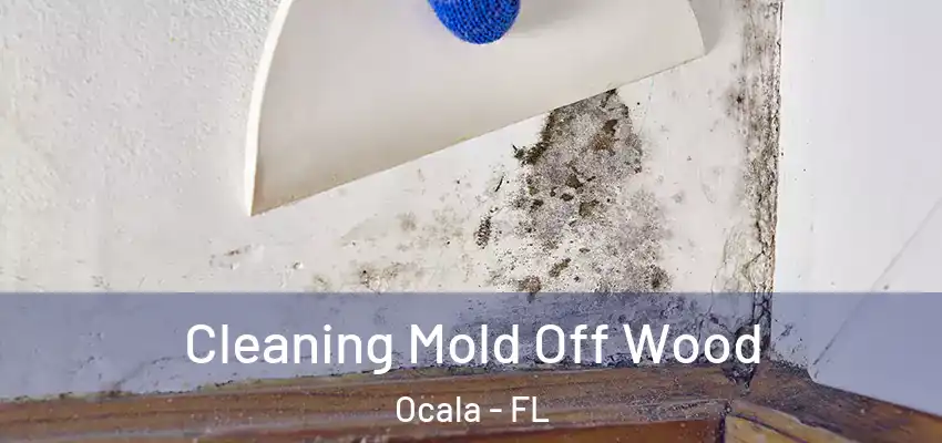 Cleaning Mold Off Wood Ocala - FL