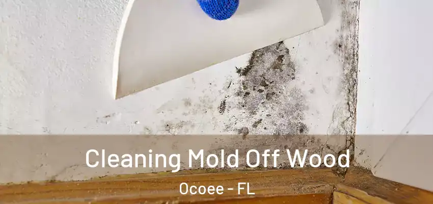  Cleaning Mold Off Wood Ocoee - FL