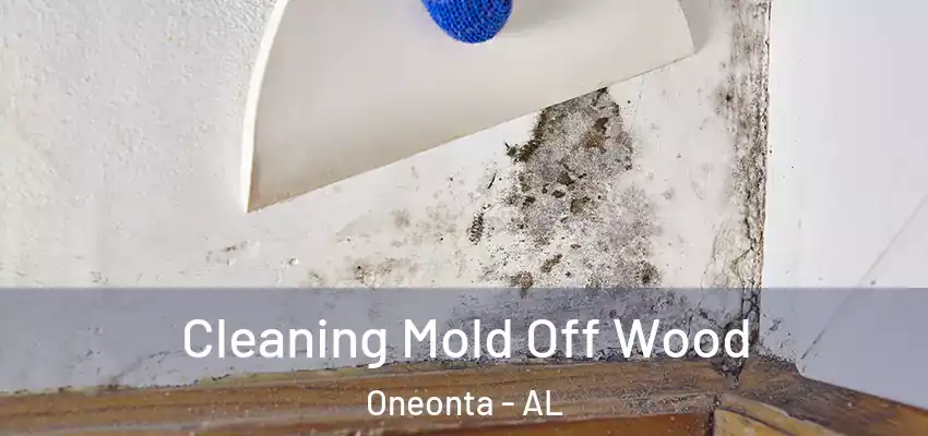  Cleaning Mold Off Wood Oneonta - AL