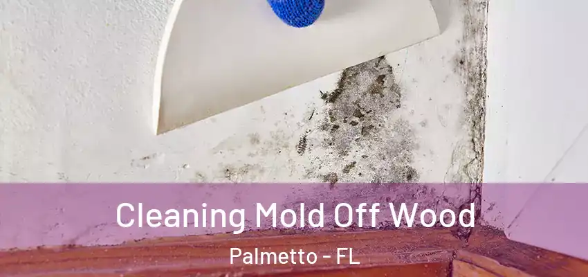  Cleaning Mold Off Wood Palmetto - FL