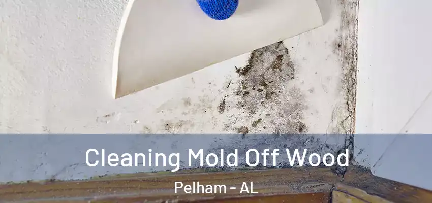 Cleaning Mold Off Wood Pelham - AL
