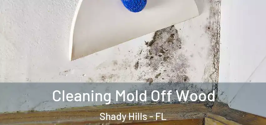  Cleaning Mold Off Wood Shady Hills - FL