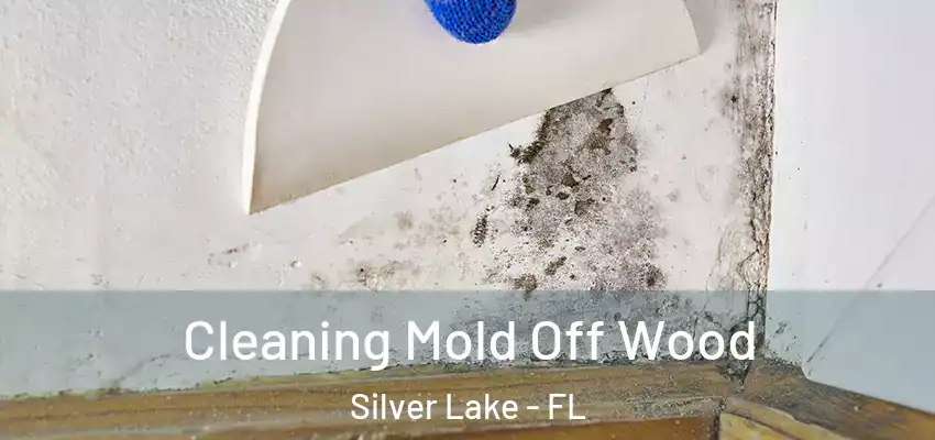  Cleaning Mold Off Wood Silver Lake - FL