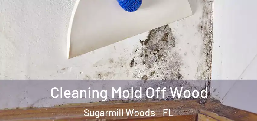  Cleaning Mold Off Wood Sugarmill Woods - FL