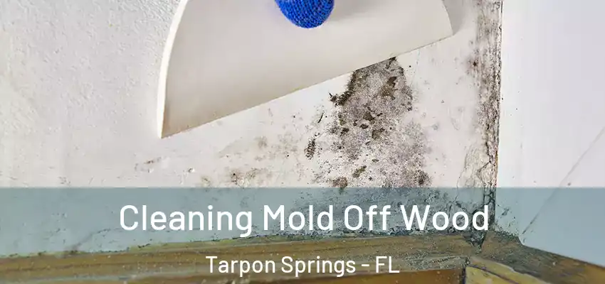 Cleaning Mold Off Wood Tarpon Springs - FL