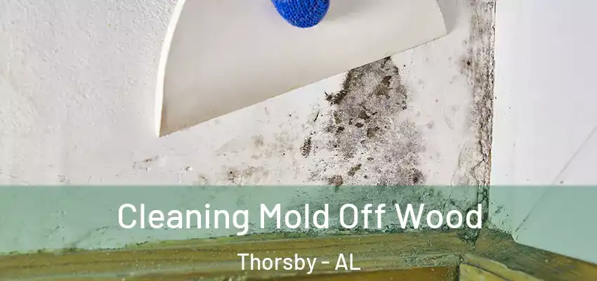  Cleaning Mold Off Wood Thorsby - AL