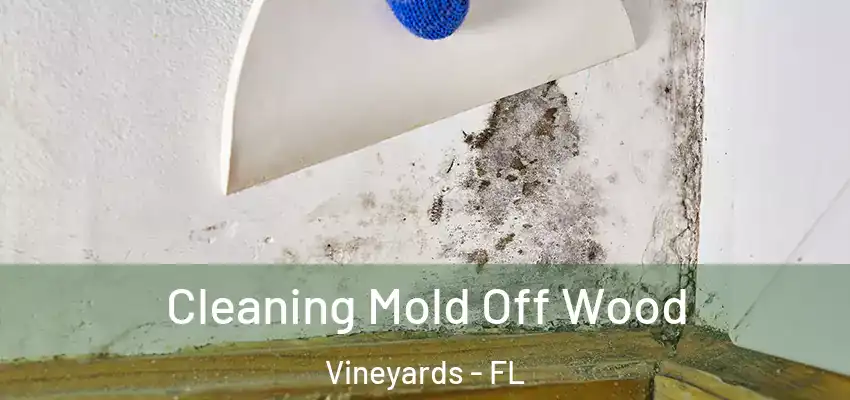 Cleaning Mold Off Wood Vineyards - FL