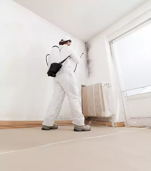 Specialists in All Areas of Mold Remediation and Water Damage Restoration in Leesburg, FL