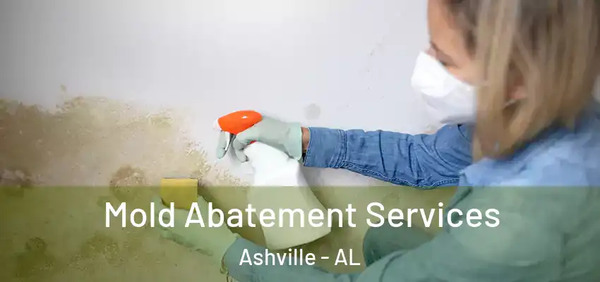  Mold Abatement Services Ashville - AL