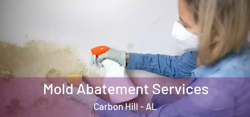 Mold Abatement Services Carbon Hill - AL