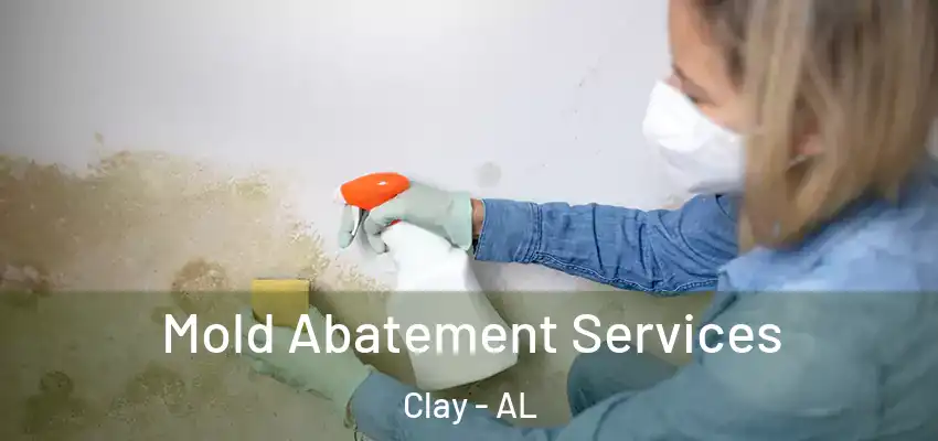  Mold Abatement Services Clay - AL