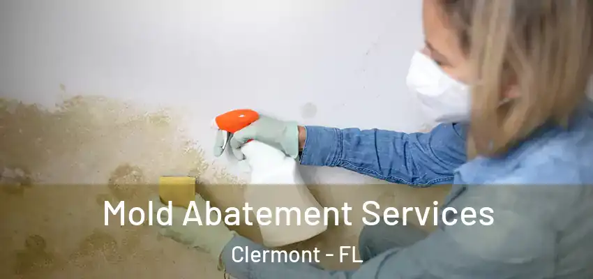 Mold Abatement Services Clermont - FL