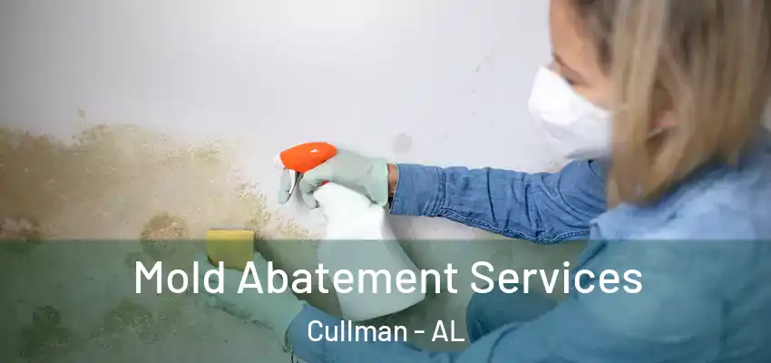 Mold Abatement Services Cullman - AL