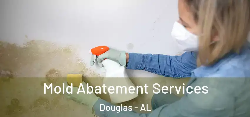  Mold Abatement Services Douglas - AL