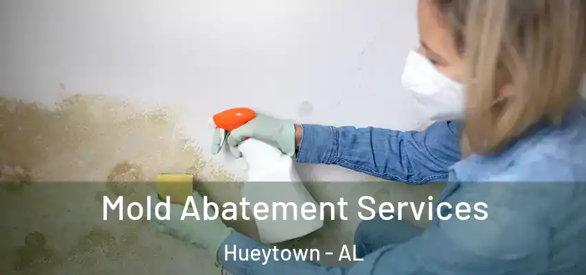 Mold Abatement Services Hueytown - AL