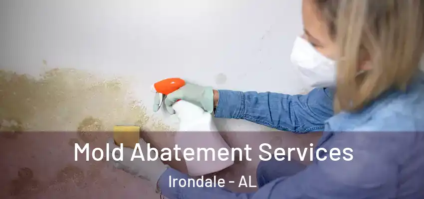  Mold Abatement Services Irondale - AL