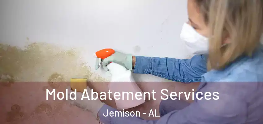 Mold Abatement Services Jemison - AL