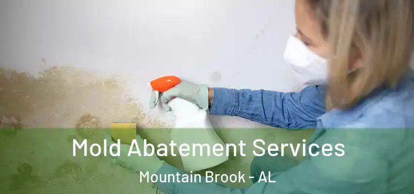 Mold Abatement Services Mountain Brook - AL