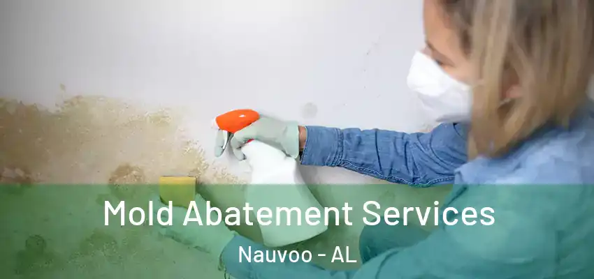 Mold Abatement Services Nauvoo - AL