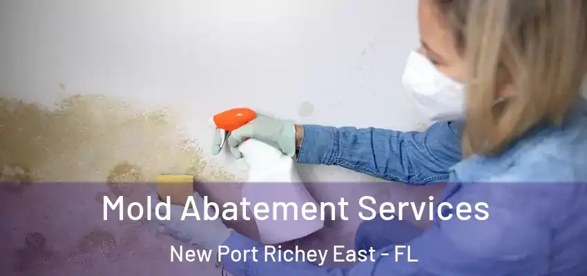 Mold Abatement Services New Port Richey East - FL