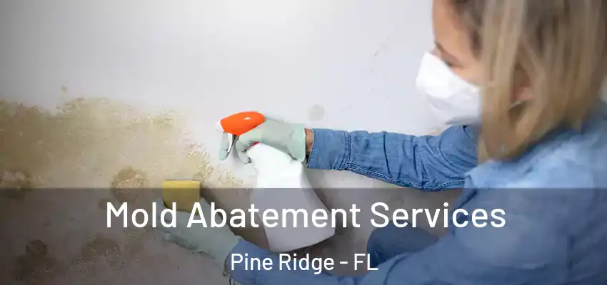  Mold Abatement Services Pine Ridge - FL