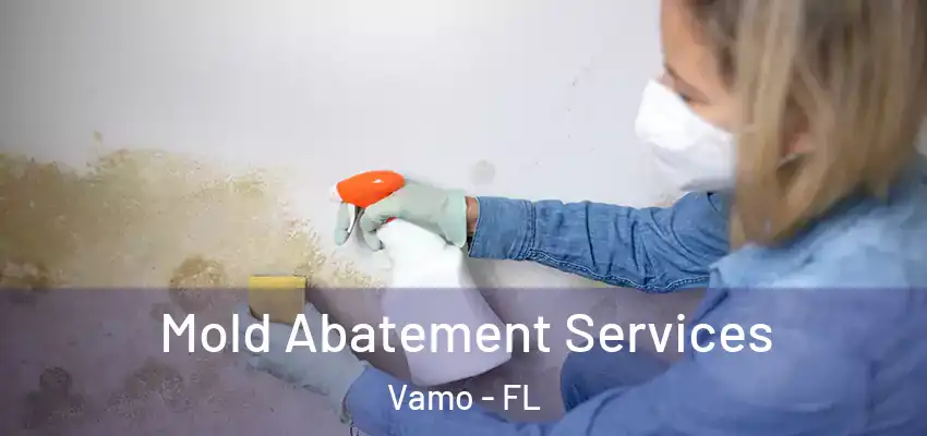 Mold Abatement Services Vamo - FL
