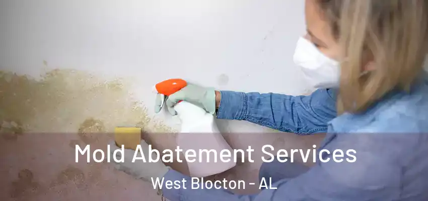 Mold Abatement Services West Blocton - AL