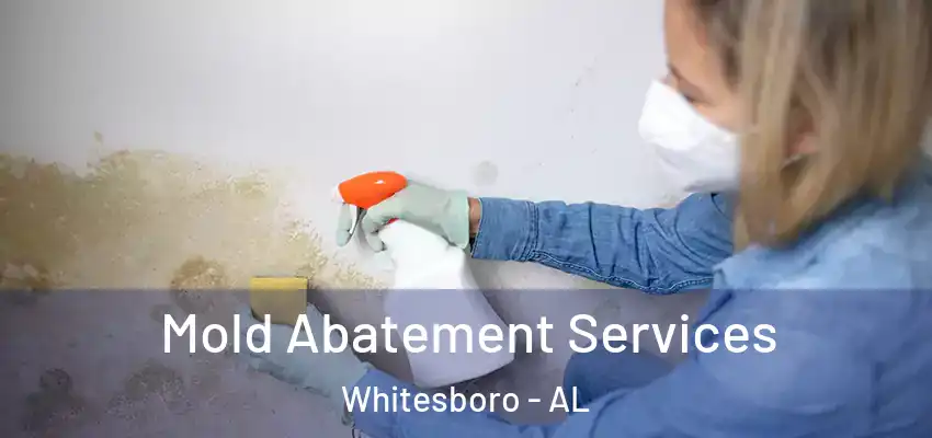 Mold Abatement Services Whitesboro - AL