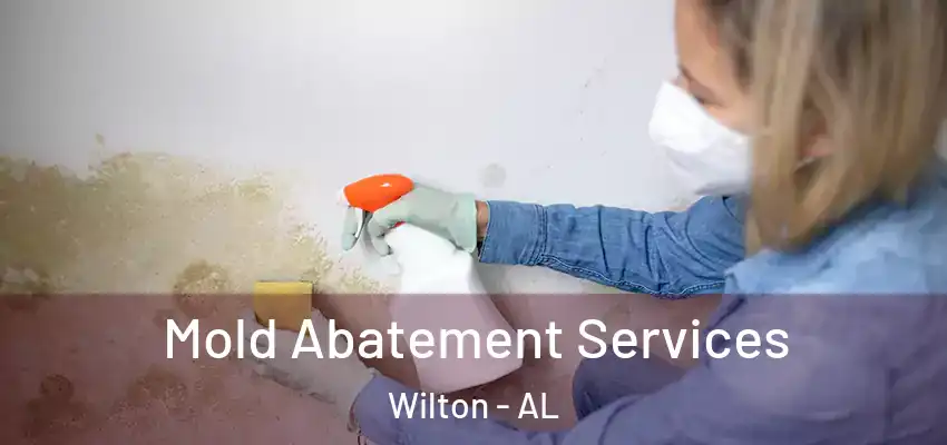 Mold Abatement Services Wilton - AL