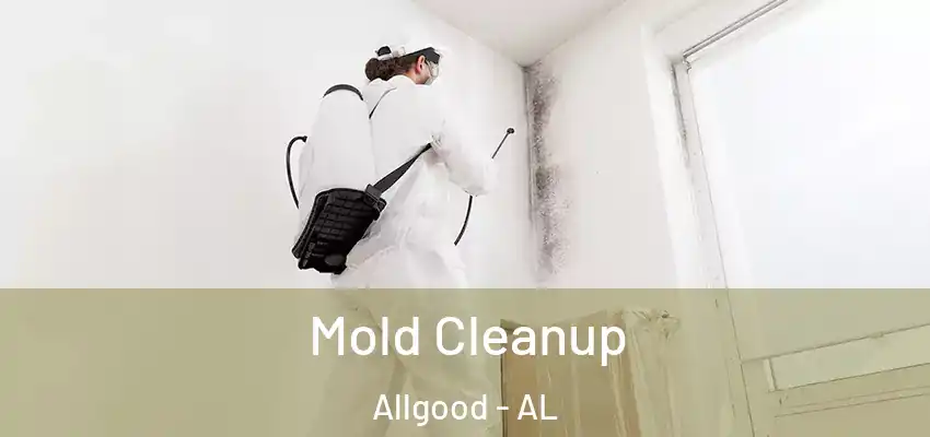 Mold Cleanup Allgood - AL