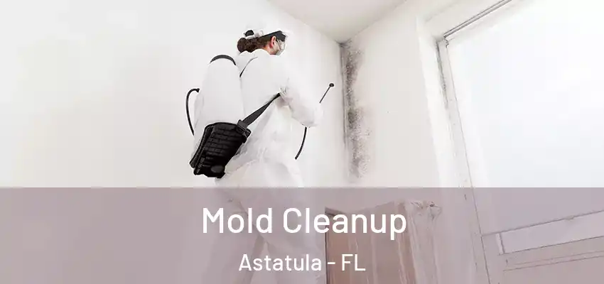 Mold Cleanup Astatula - FL