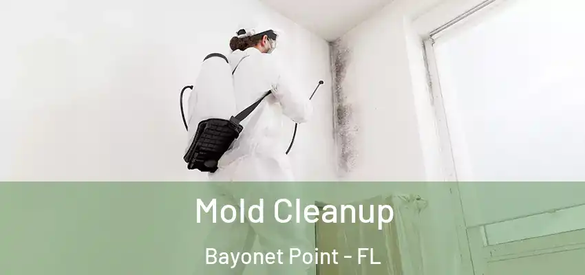 Mold Cleanup Bayonet Point - FL