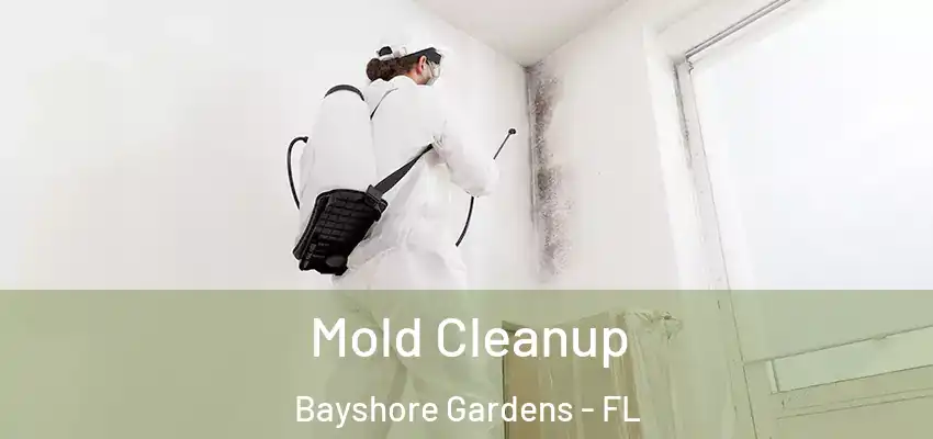 Mold Cleanup Bayshore Gardens - FL