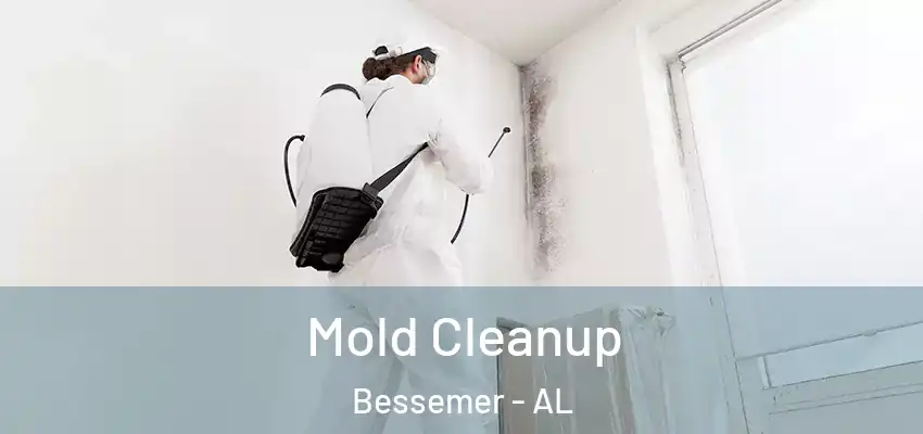 Mold Cleanup Bessemer - AL